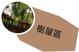 樹屋